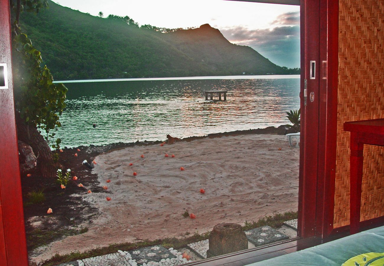 Bungalow en Papetoai - Lagoon Boungainvilla - Robinson's Cove