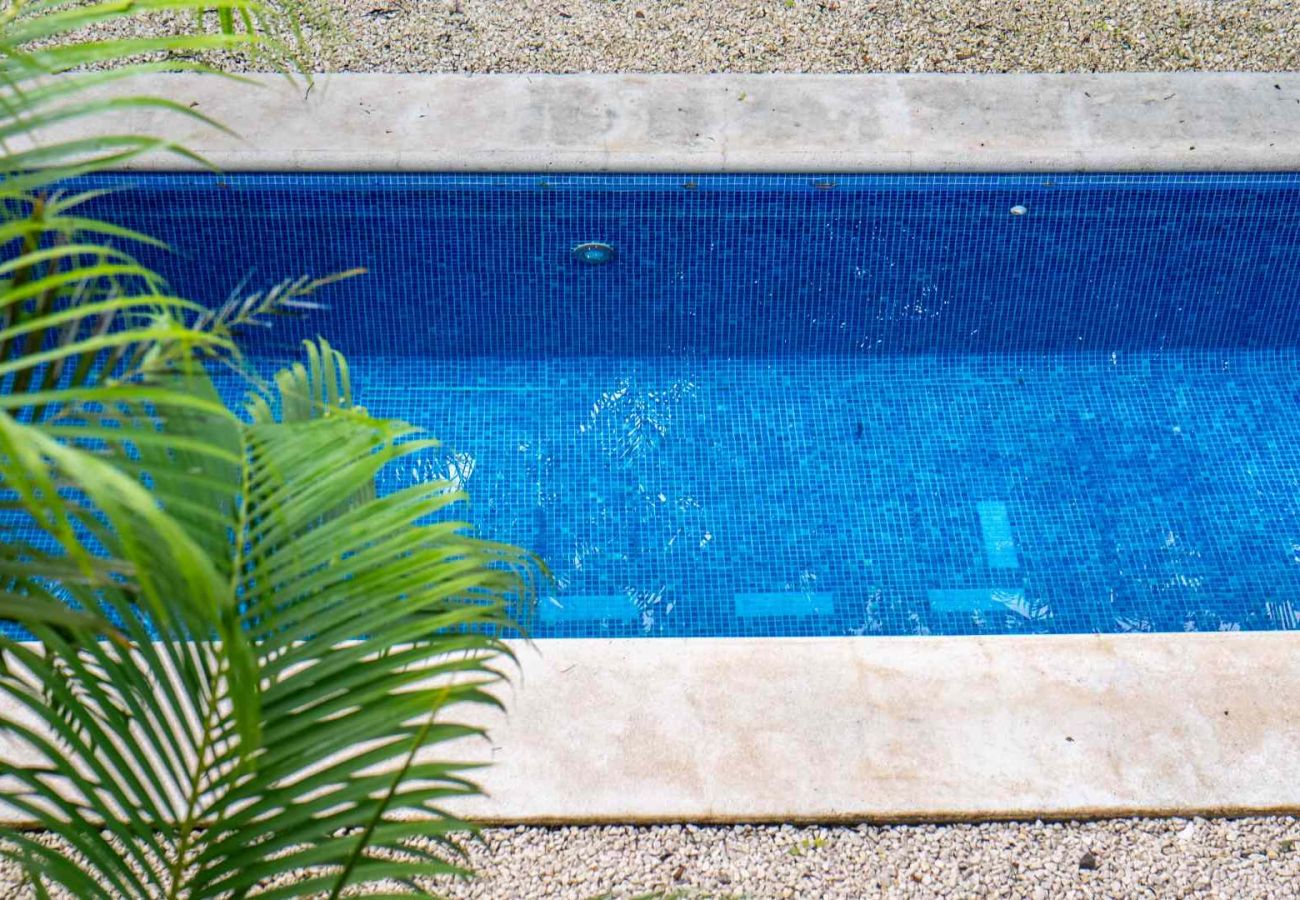 Villa en Pinilla - Villa Holy Tree Santa Cruz Guanacaste 4-bd
