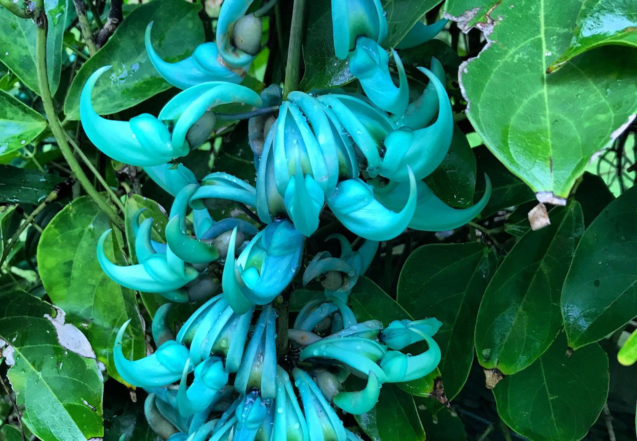 Détails