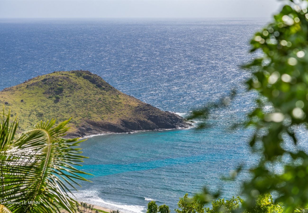 Villa à Saint Barthélemy - Villa Rose Dog St Barth 4-bd