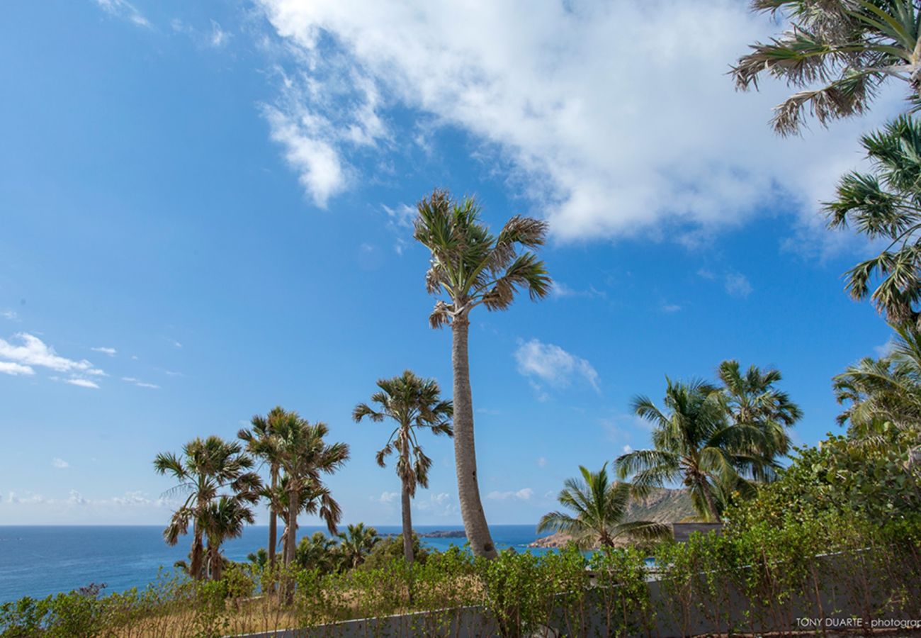 Villa à Saint Barthélemy - Villa Cacao St Barth 4-bd