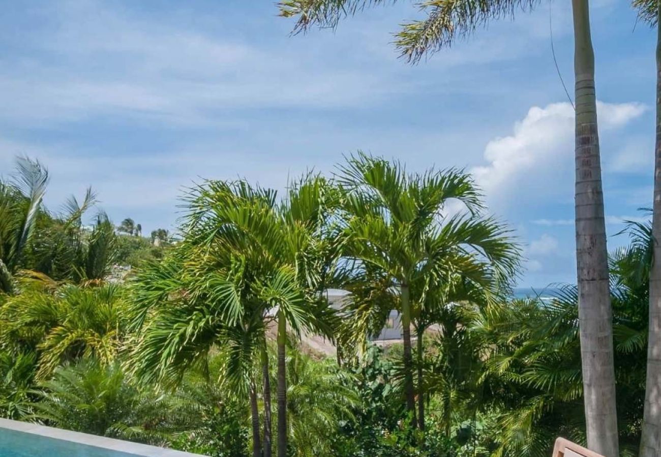 Villa à Saint Barthélemy - Villa Palm St Barth 2-bd