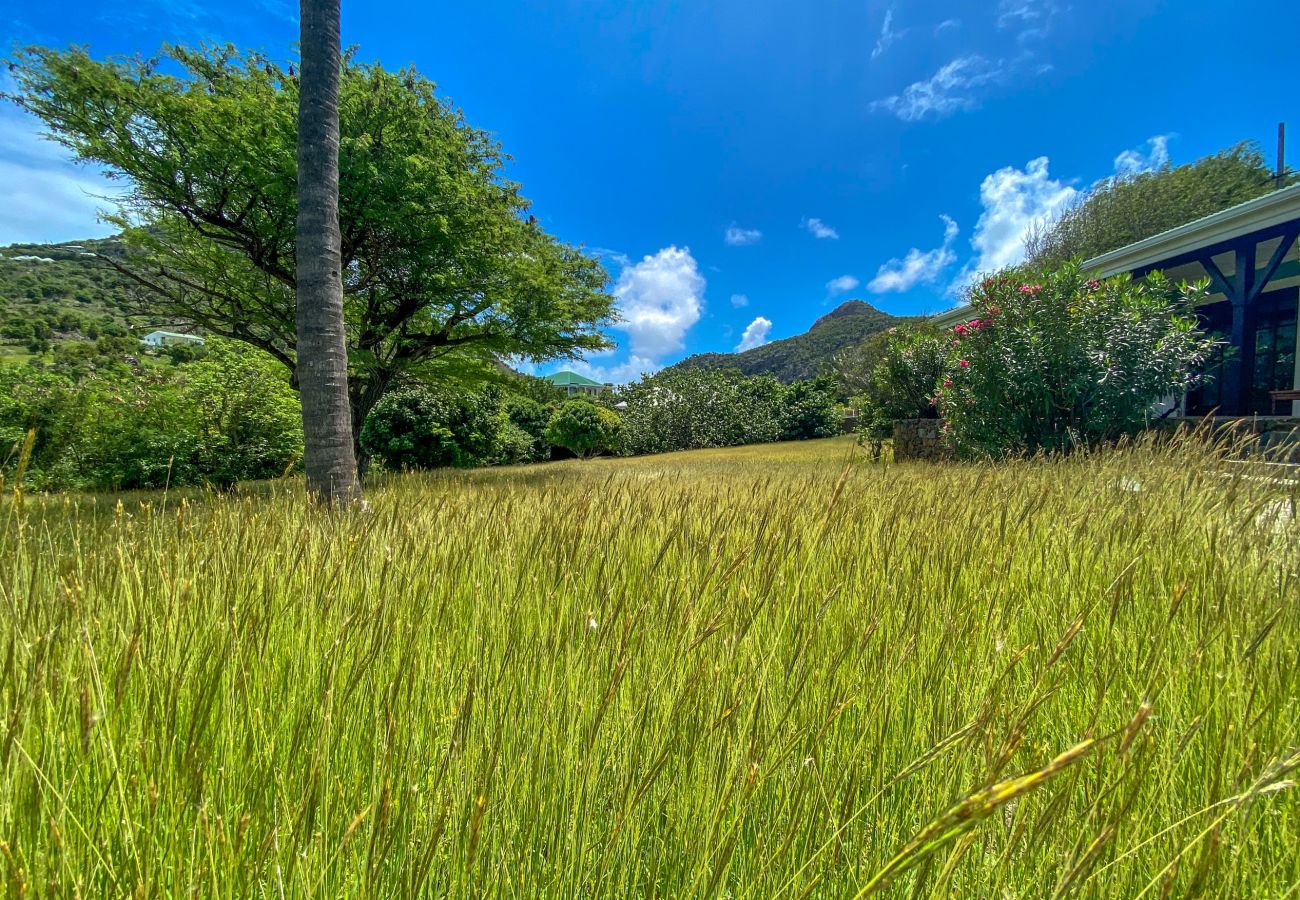 Villa à Saint Barthélemy - Villa Chanticleer St Barth 3-bd