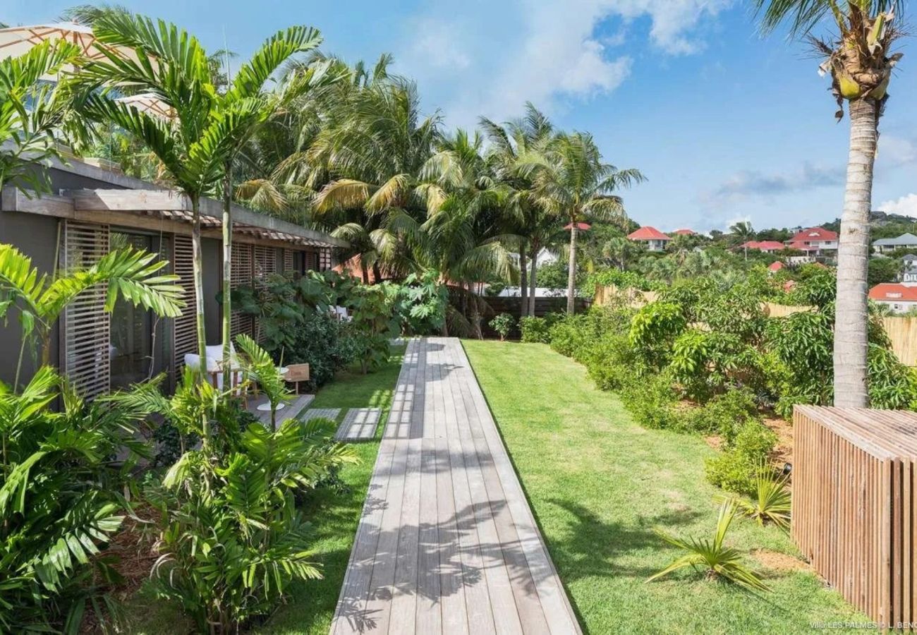 Villa à Saint Barthélemy - Villa Les Palmes St Barth 4-bd