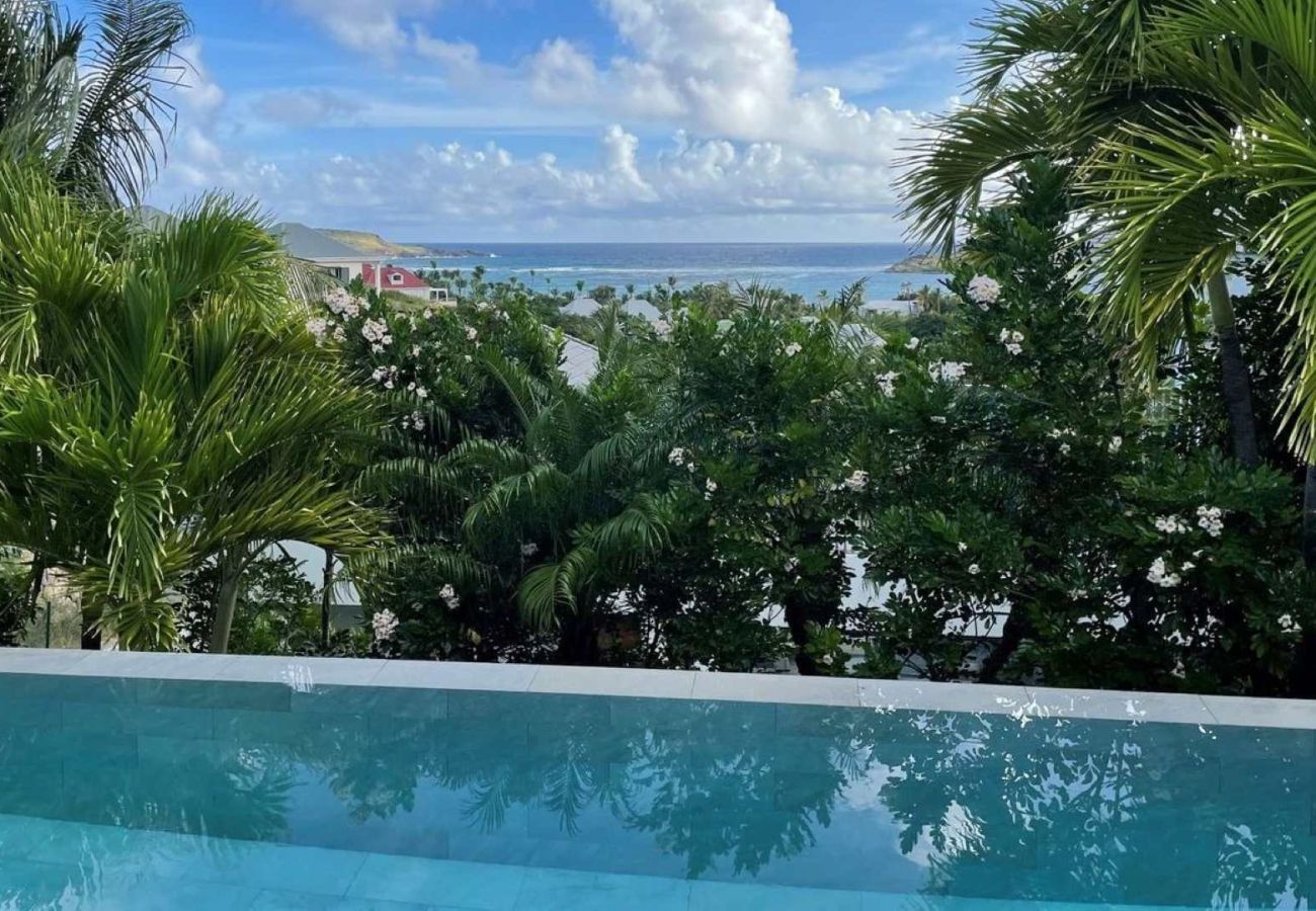 Villa à Saint Barthélemy - Villa Palm St Barth 1-bd