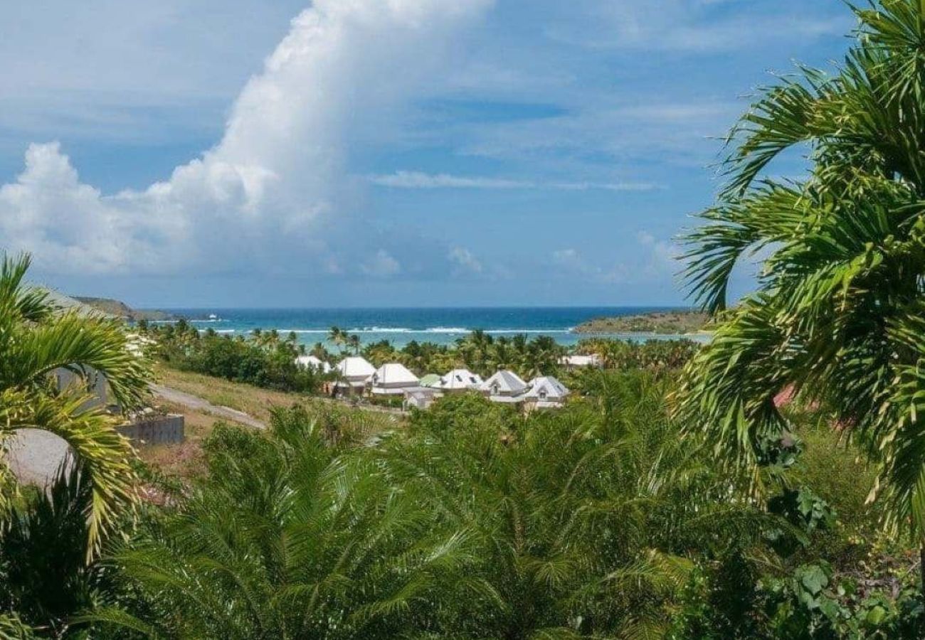 Villa à Saint Barthélemy - Villa Palm St Barth 1-bd