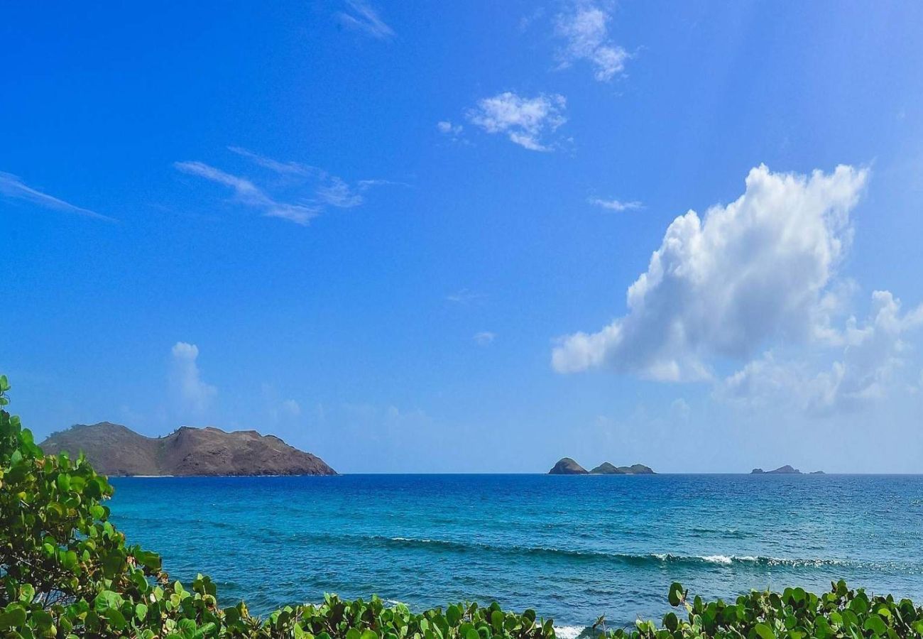 Villa à Saint Barthélemy - Villa Palm House St Barth 1-bd