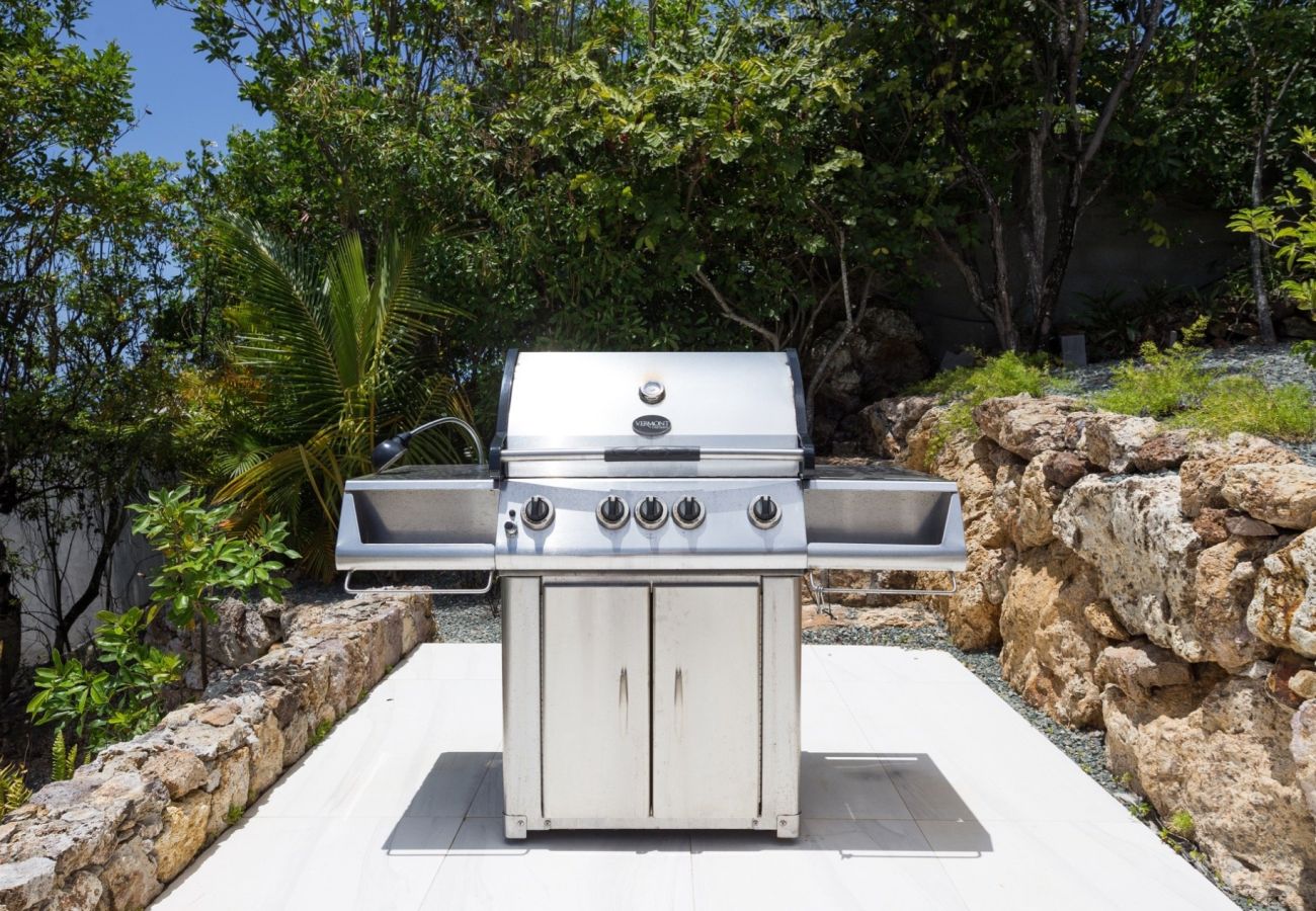 Villa à Saint Barthélemy - Villa Rose Dog St Barth 2-bd