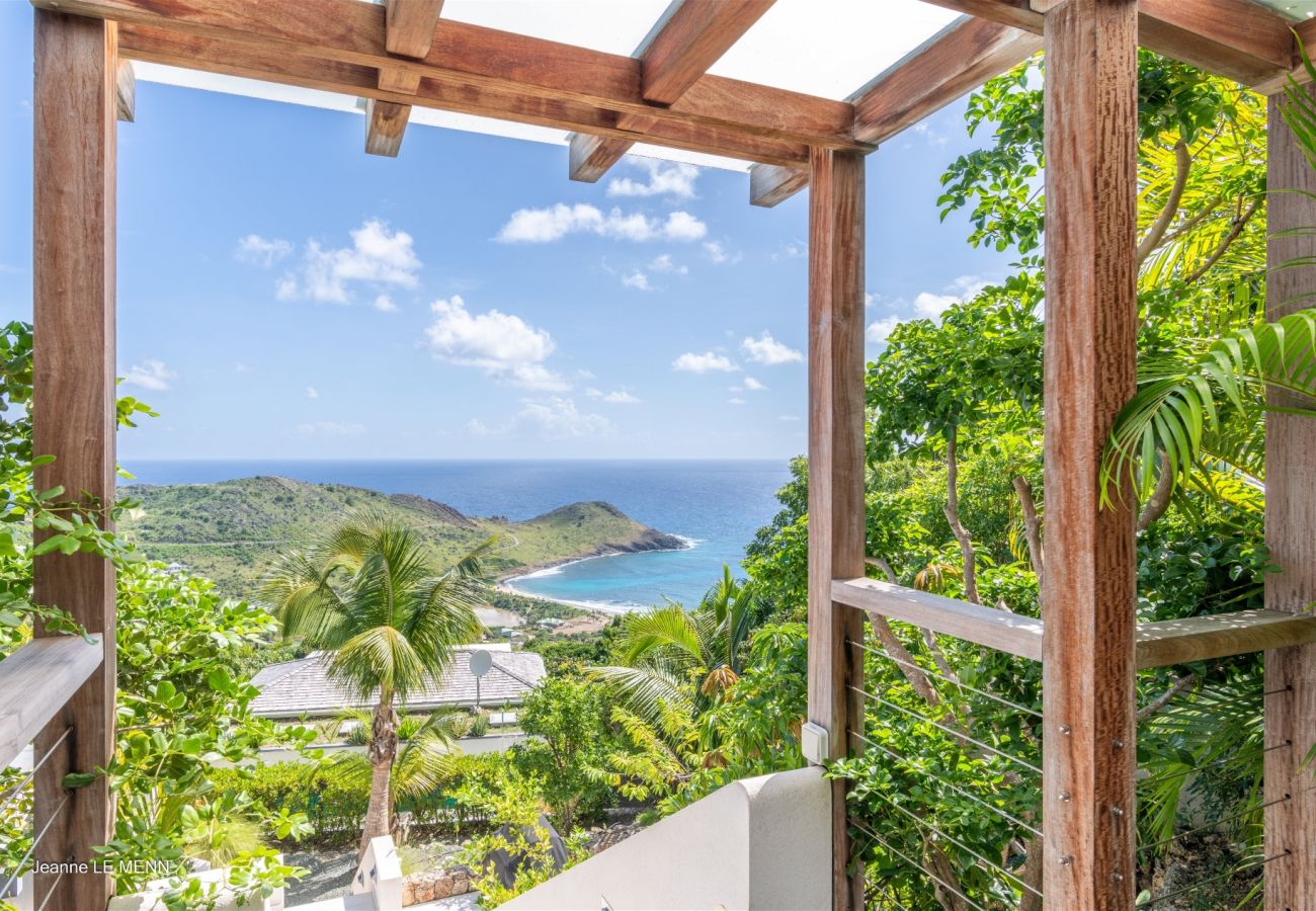 Villa à Saint Barthélemy - Villa Rose Dog St Barth 3-bd