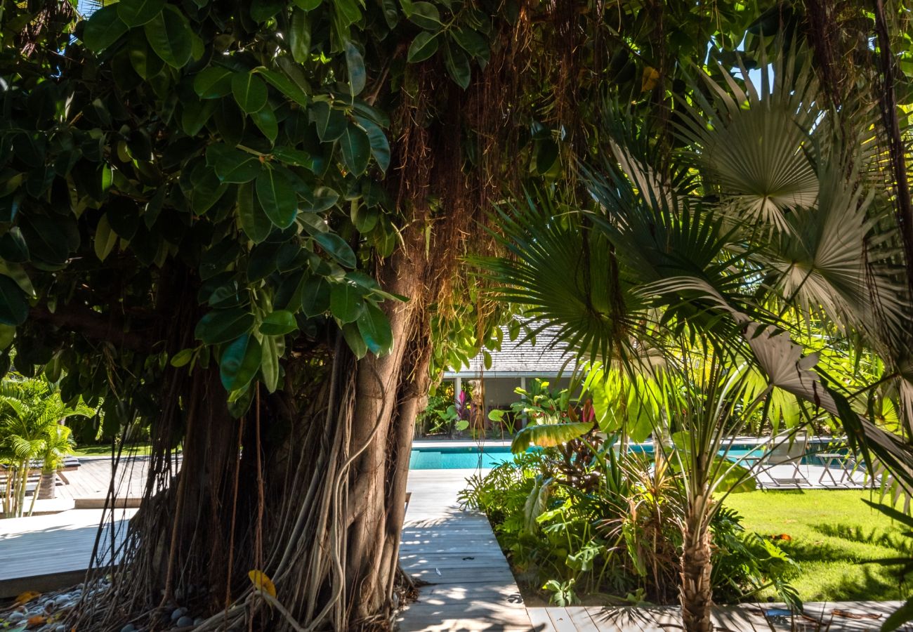 Villa à Saint Barthélemy - Villa Manoir de Lorient St Barth 6-bd