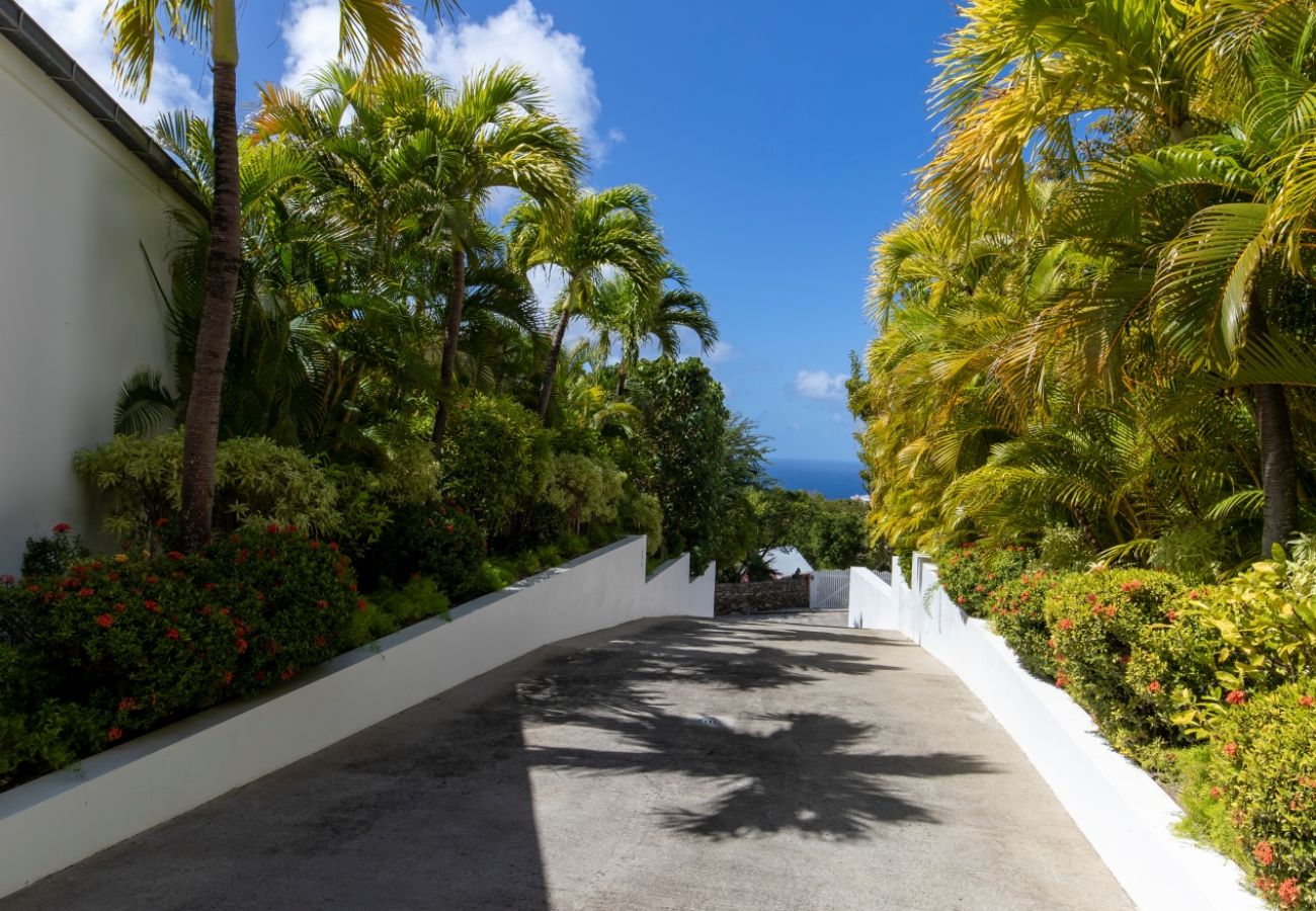 Villa à Saint Barthélemy - Villa Bellissima St Barth 1-bd