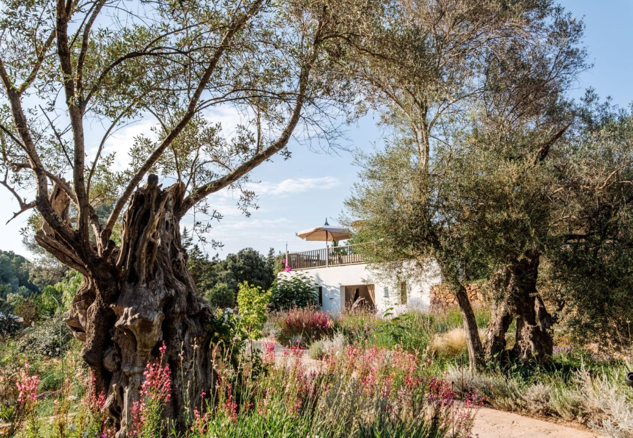 Villa à Sant Llorenç de Balafia - Villa San Lorenzo Fincadelica Ibiza 9-bd