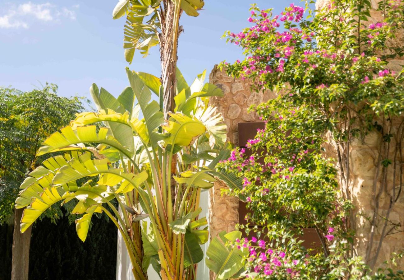 Villa à Sant Josep de Sa Talaia - Villa Comte Ibiza 4-bd
