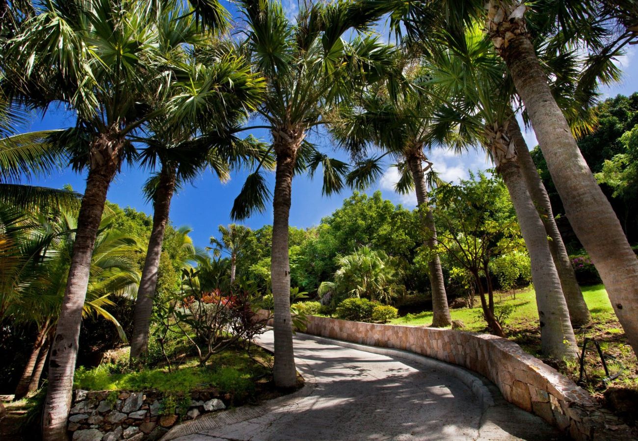 Villa à Saint Barthélemy - Villa Bibi St Barth 5-bd