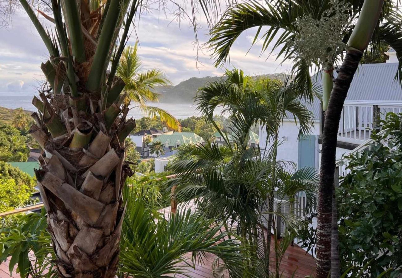 Villa à Saint Barthélemy - Villa Case des Isles St Barth 3-bd