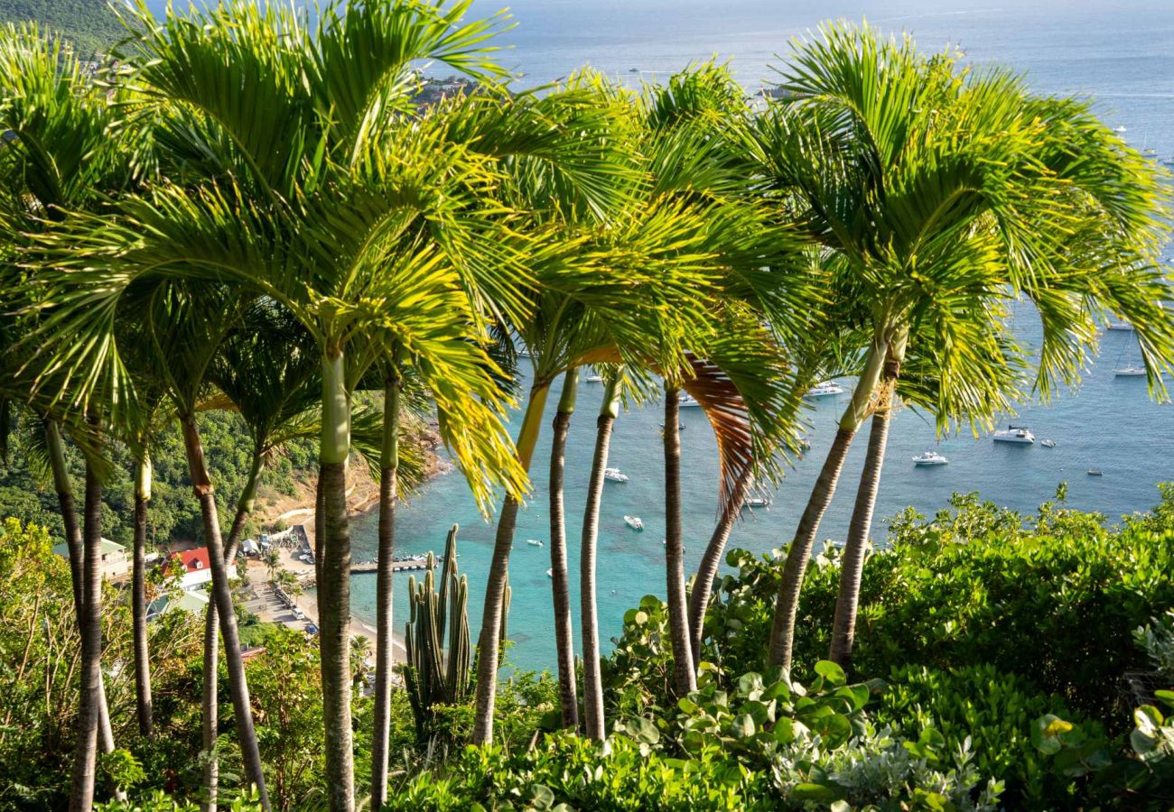 Villa à Saint Barthélemy - Villa Ahava St Barth 4-bd