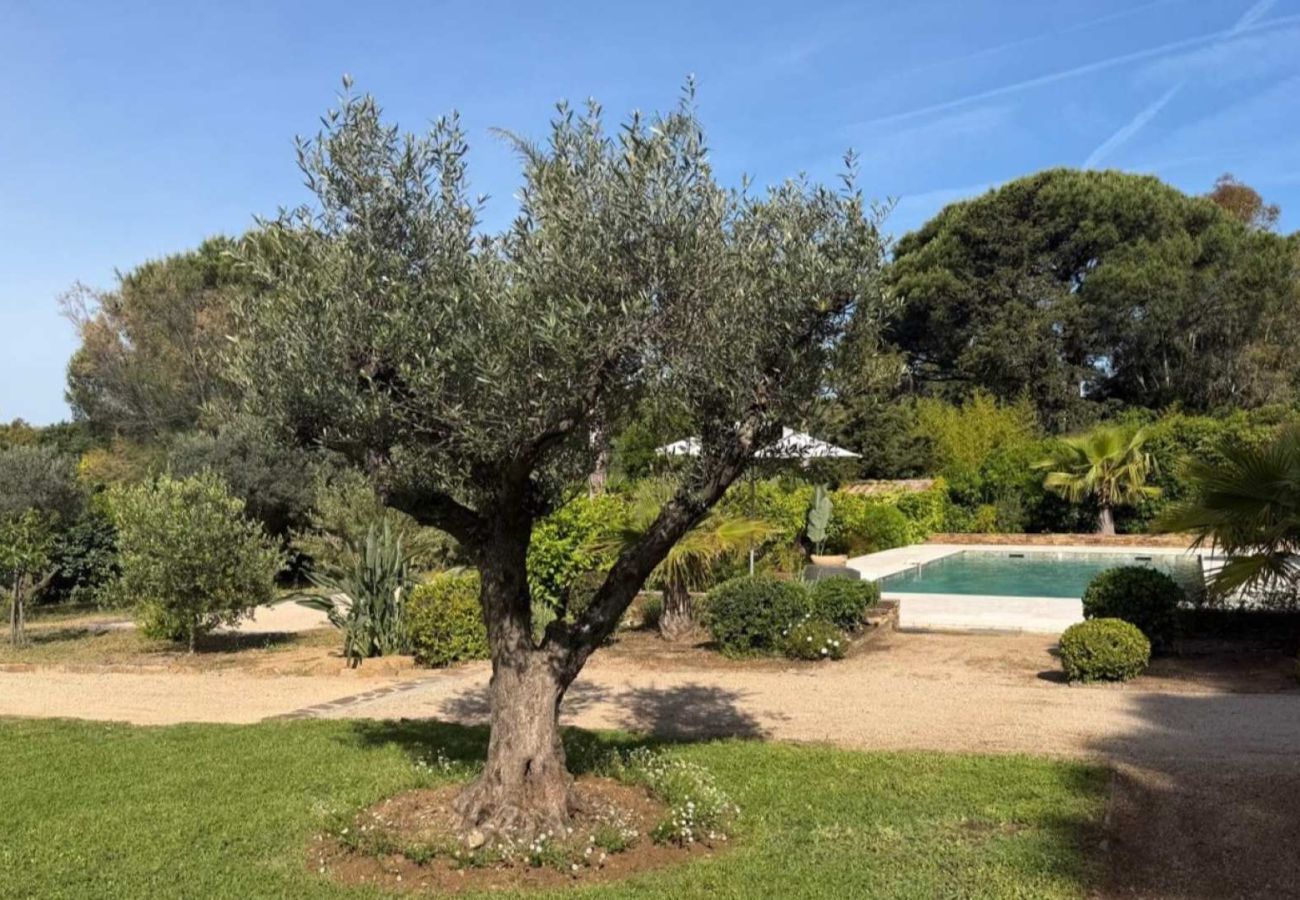 Villa à Saint-Tropez - Villa Fontaine du Pin Saint-Tropez 4-bd
