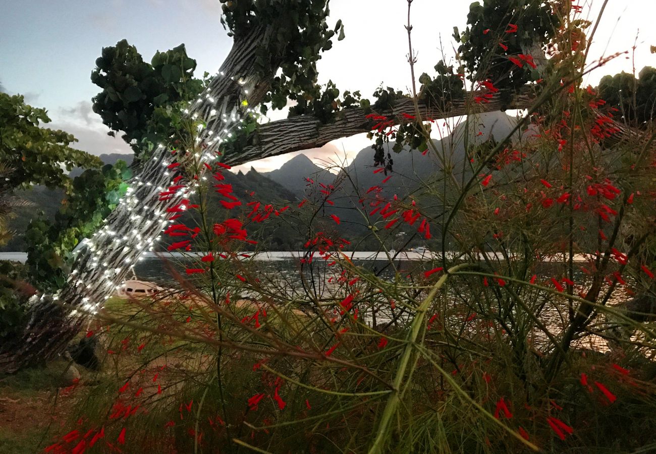 Bungalow in Papetoai - Lagon Bougainville - Robinson's Cove