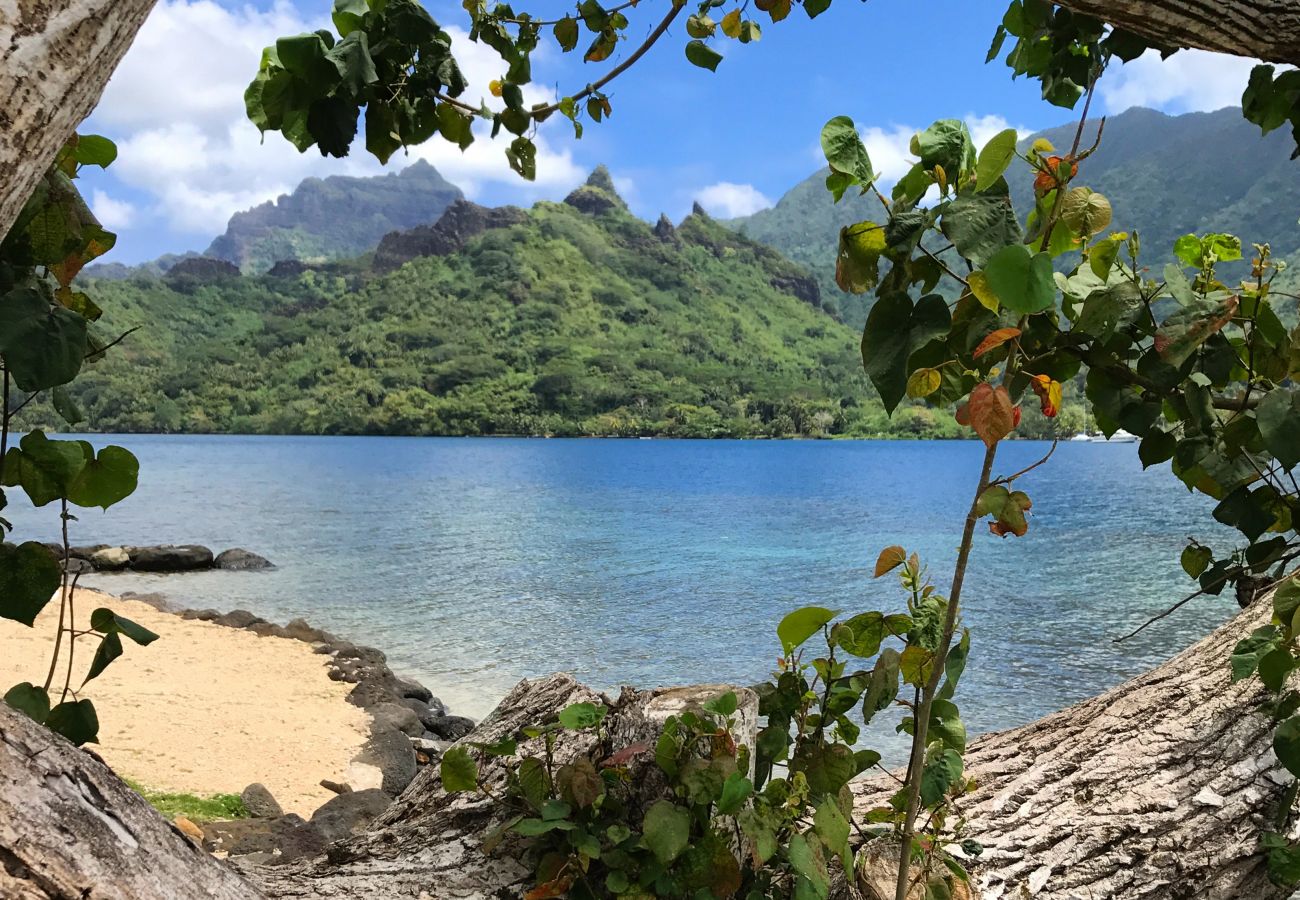 Bungalow in Papetoai - Lagon Bougainville - Robinson's Cove