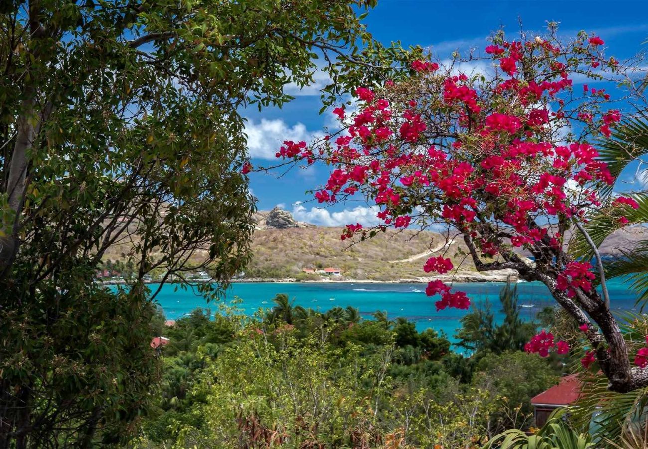Villa in Saint Barthélemy - Villa Sas St Barths 2-bd