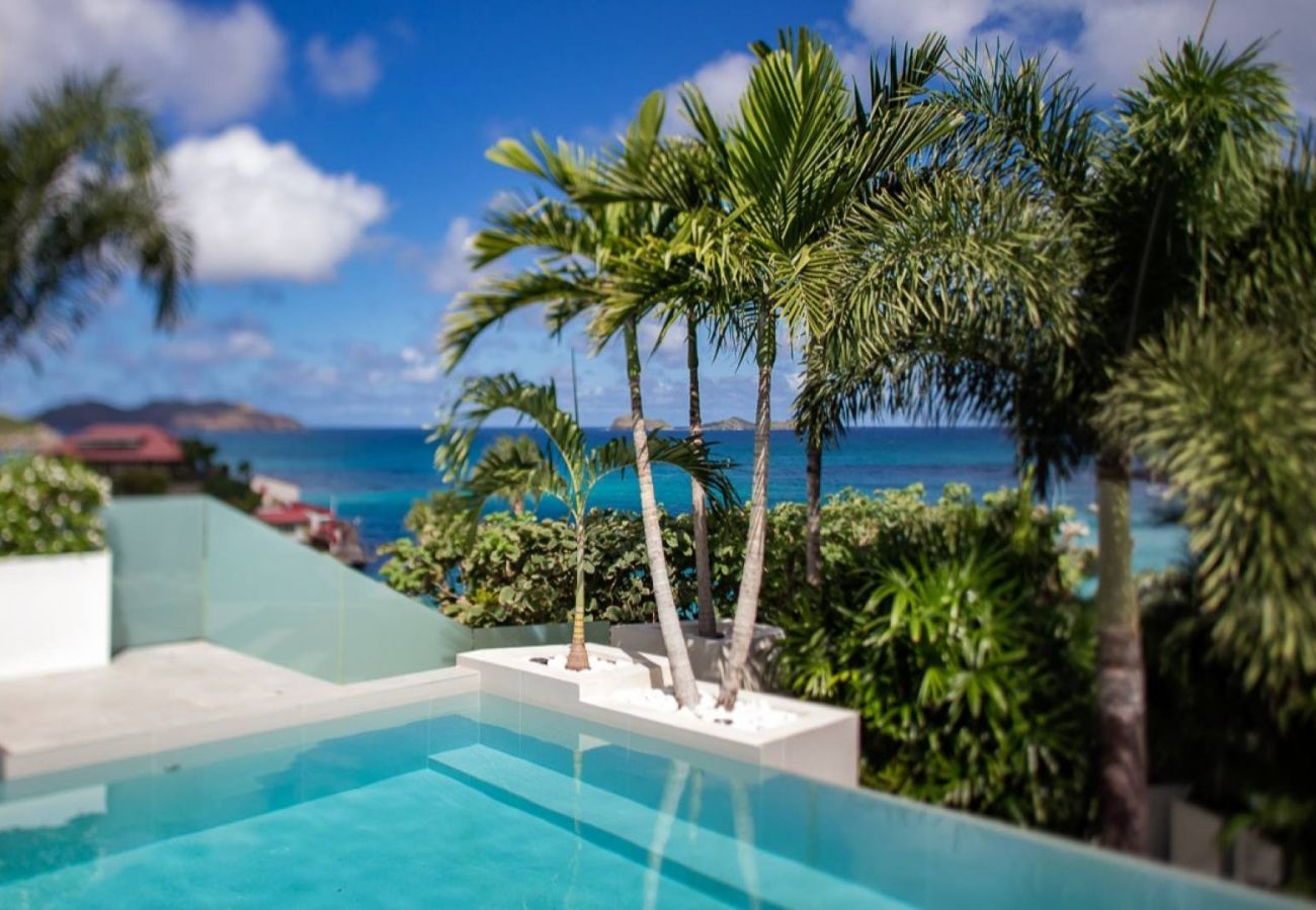 Villa in Saint Barthélemy - Villa Sax St Barths 2-bd