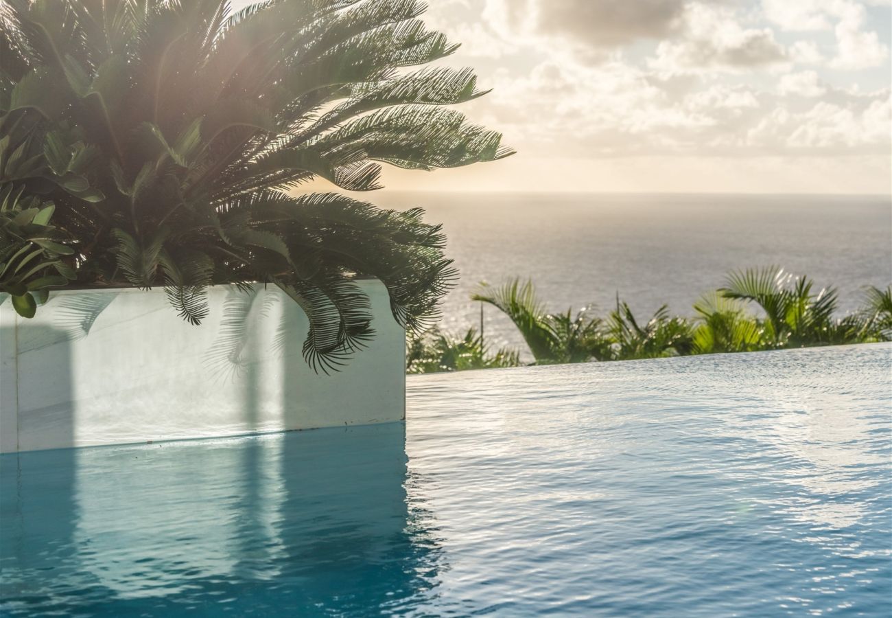 Villa in Saint Barthélemy - Villa Rose Dog St Barths 2-bd