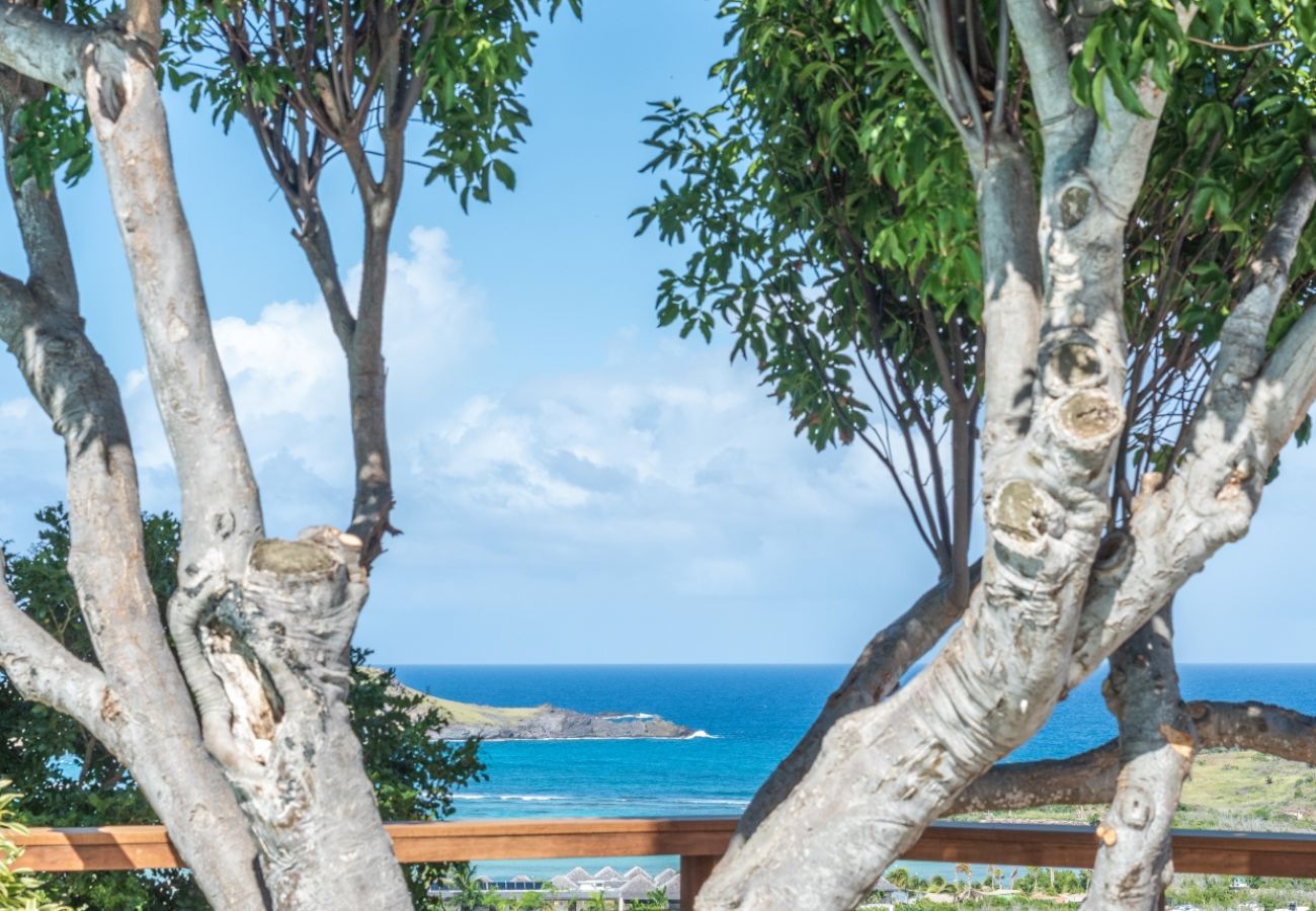 Villa in Saint Barthélemy - Villa Nolen St Barths 2-bd