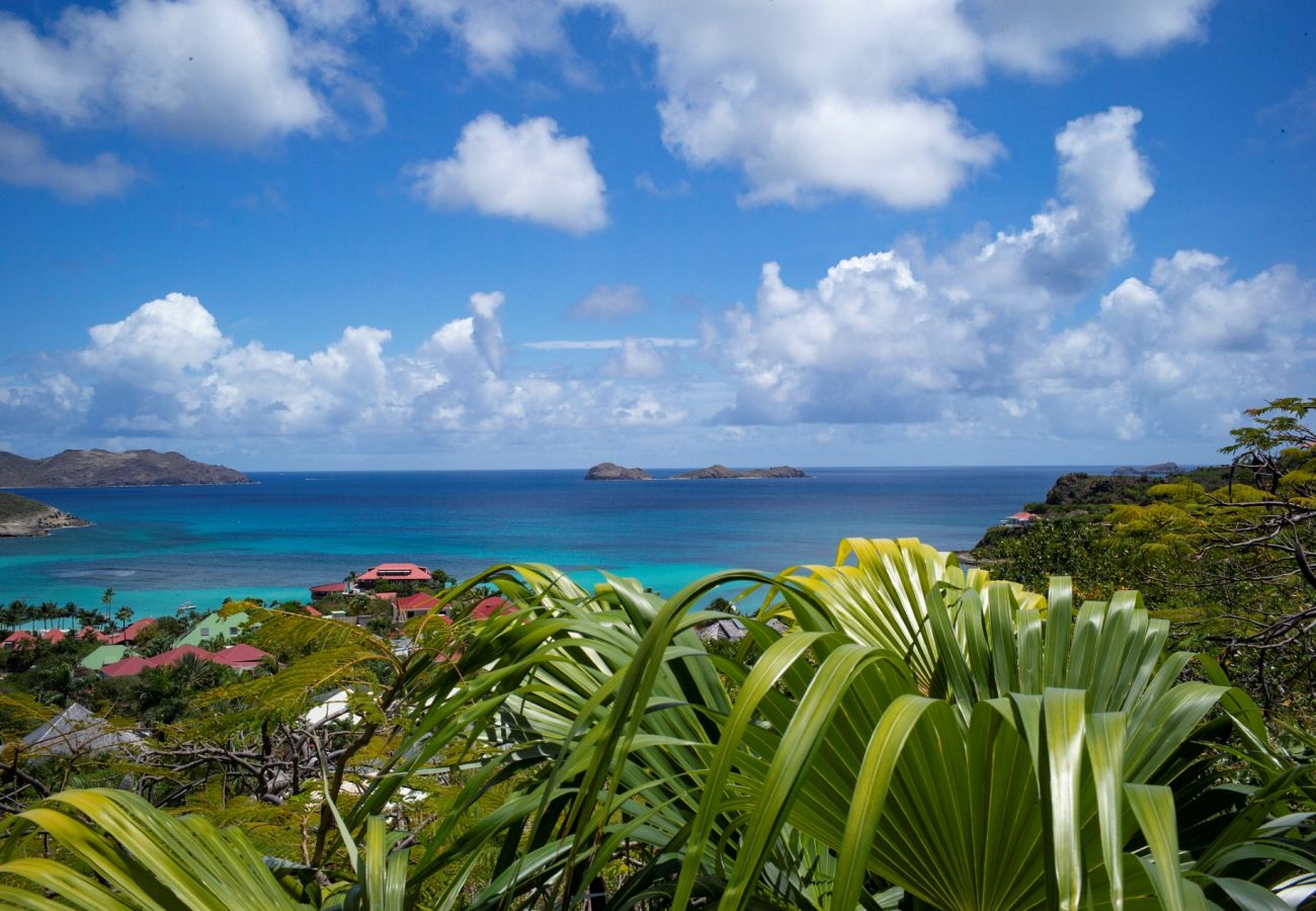 Villa in Saint Barthélemy - Villa Terre Indigo St Barths 2-bd
